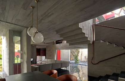 Trees Sliced Through | Matharoo Associates