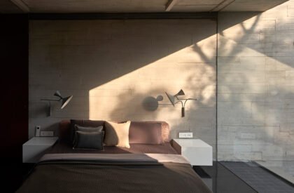 Trees Sliced Through | Matharoo Associates