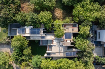 Trees Sliced Through | Matharoo Associates