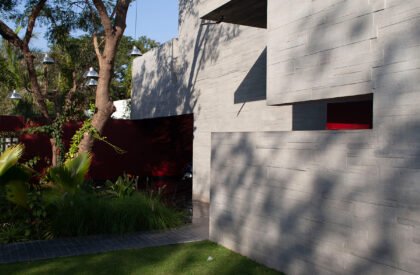 Trees Sliced Through | Matharoo Associates