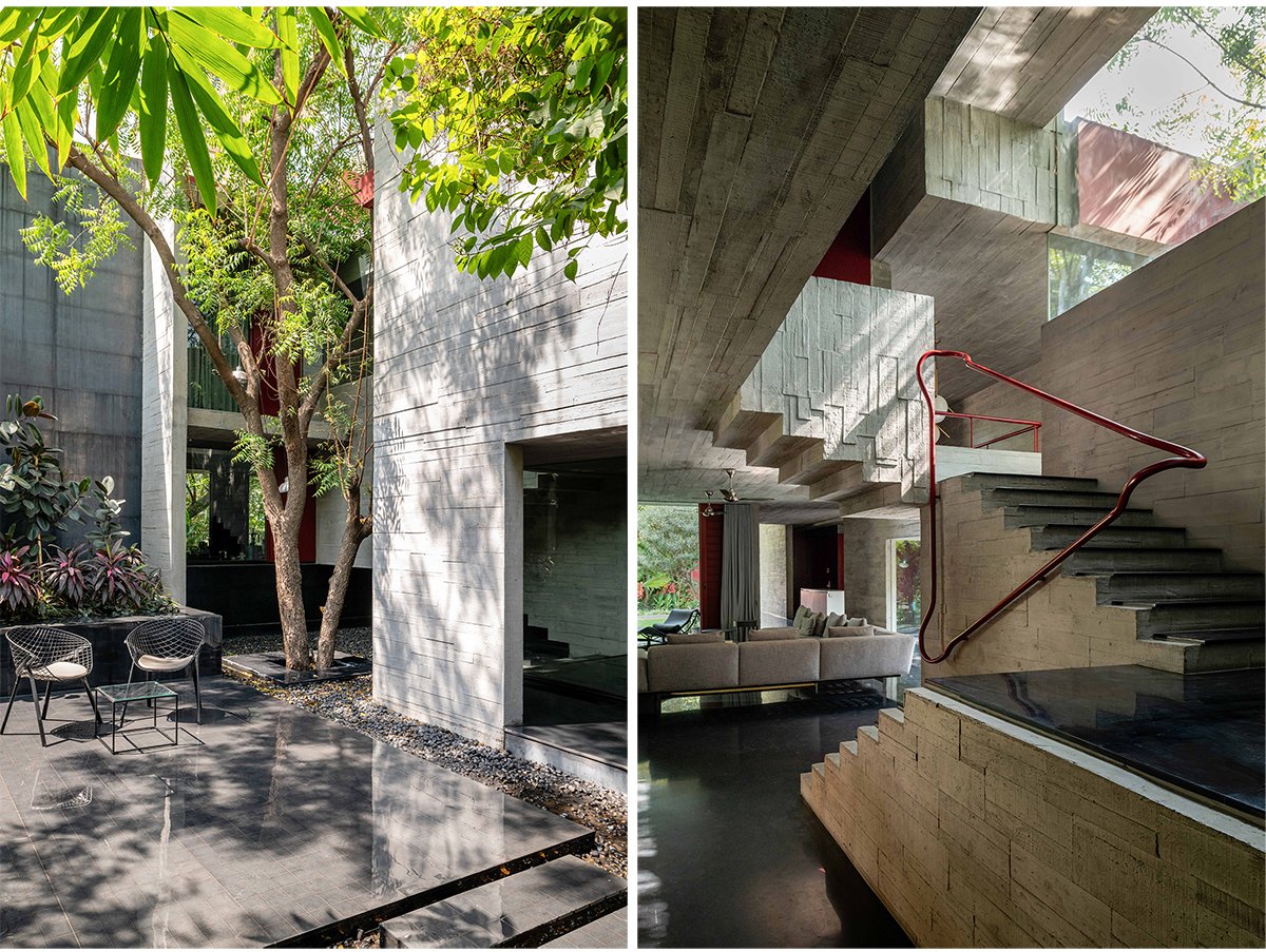 Trees Sliced Through | Matharoo Associates