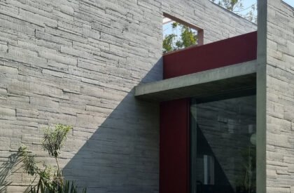 Trees Sliced Through | Matharoo Associates