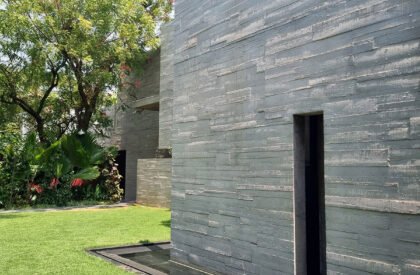 Trees Sliced Through | Matharoo Associates