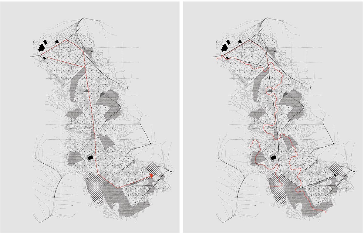 Ecological Fire Break : For A Hundred Year Old Pine Plantation | Masters Design Thesis on Regenerative Landscape Design