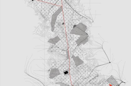 Ecological Fire Break : For A Hundred Year Old Pine Plantation | Masters Design Thesis on Regenerative Landscape Design