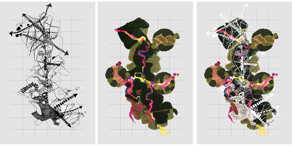 Ecological Fire Break : For A Hundred Year Old Pine Plantation | Masters Design Thesis on Regenerative Landscape Design