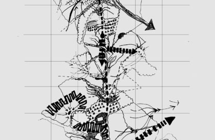 Ecological Fire Break : For A Hundred Year Old Pine Plantation | Masters Design Thesis on Regenerative Landscape Design