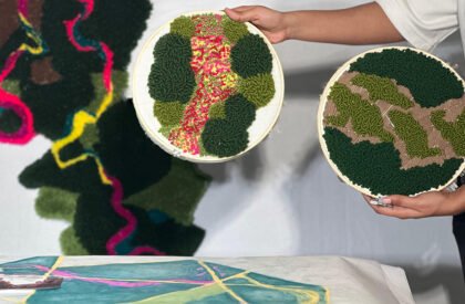 Ecological Fire Break : For A Hundred Year Old Pine Plantation | Masters Design Thesis on Regenerative Landscape Design