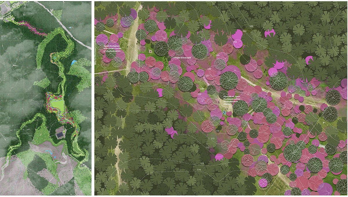 Ecological Fire Break : For A Hundred Year Old Pine Plantation | Masters Design Thesis on Regenerative Landscape Design