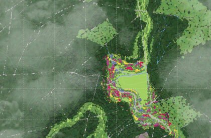 Ecological Fire Break : For A Hundred Year Old Pine Plantation | Masters Design Thesis on Regenerative Landscape Design