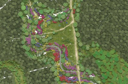Ecological Fire Break : For A Hundred Year Old Pine Plantation | Masters Design Thesis on Regenerative Landscape Design
