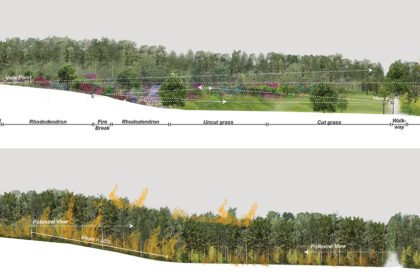 Ecological Fire Break : For A Hundred Year Old Pine Plantation | Masters Design Thesis on Regenerative Landscape Design