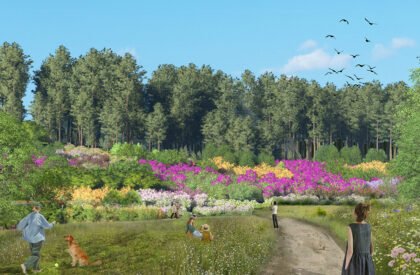 Ecological Fire Break : For A Hundred Year Old Pine Plantation | Masters Design Thesis on Regenerative Landscape Design