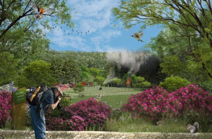 Ecological Fire Break : For A Hundred Year Old Pine Plantation | Masters Design Thesis on Regenerative Landscape Design