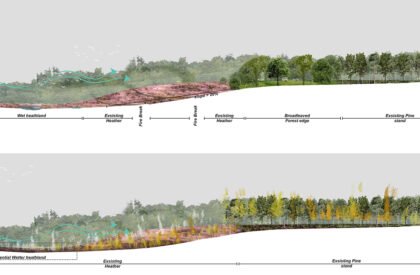 Ecological Fire Break : For A Hundred Year Old Pine Plantation | Masters Design Thesis on Regenerative Landscape Design
