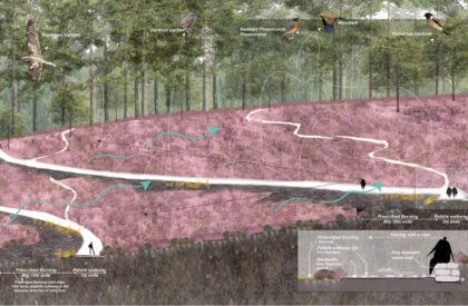 Ecological Fire Break : For A Hundred Year Old Pine Plantation | Masters Design Thesis on Regenerative Landscape Design