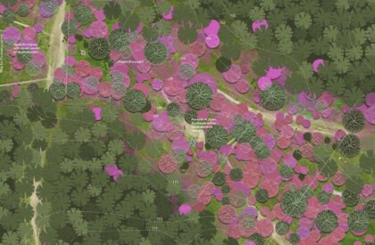 Ecological Fire Break : For A Hundred Year Old Pine Plantation | Masters Design Thesis on Regenerative Landscape Design