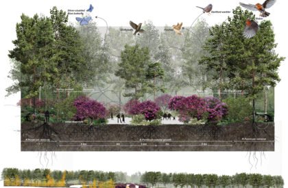Ecological Fire Break : For A Hundred Year Old Pine Plantation | Masters Design Thesis on Regenerative Landscape Design
