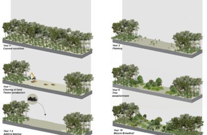 Ecological Fire Break : For A Hundred Year Old Pine Plantation | Masters Design Thesis on Regenerative Landscape Design
