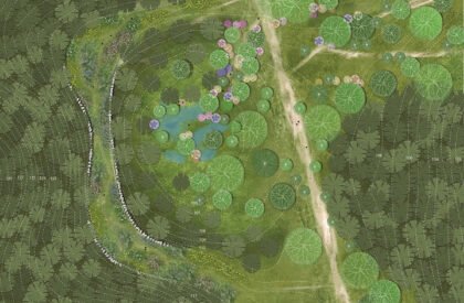 Ecological Fire Break : For A Hundred Year Old Pine Plantation | Masters Design Thesis on Regenerative Landscape Design