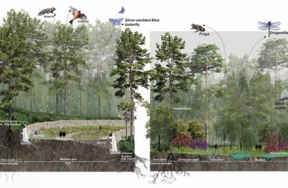 Ecological Fire Break : For A Hundred Year Old Pine Plantation | Masters Design Thesis on Regenerative Landscape Design