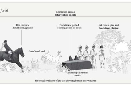 Ecological Fire Break : For A Hundred Year Old Pine Plantation | Masters Design Thesis on Regenerative Landscape Design