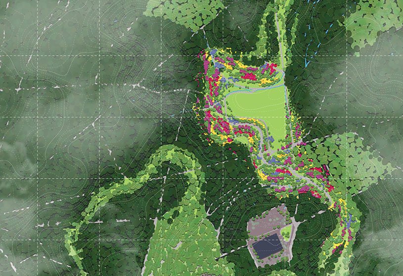 Ecological Fire Break : For A Hundred Year Old Pine Plantation | Masters Design Thesis on Regenerative Landscape Design