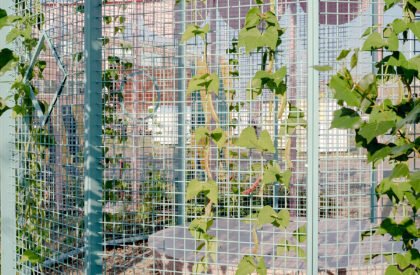 NDSM Lusthof | Studio Ossidiana