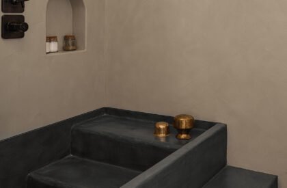 स्व bhaav | Neogenesis+Studi0261