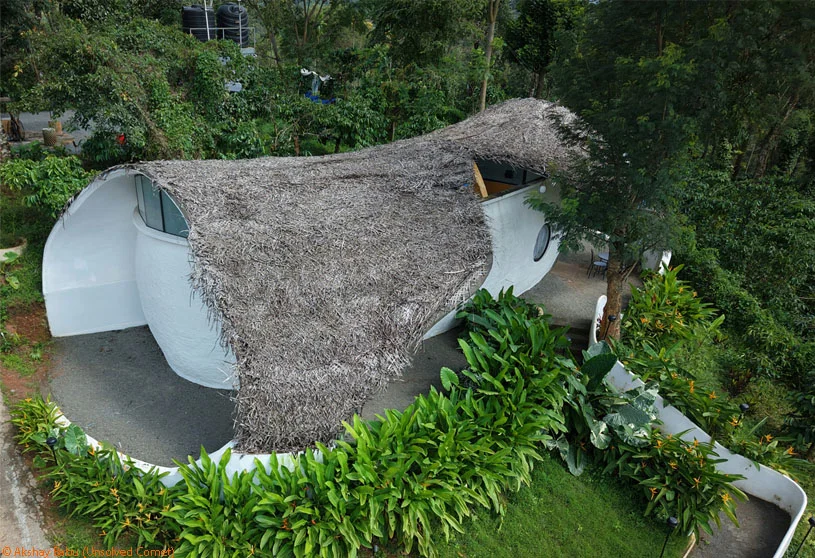 Earth’s Embrace | Raving Dots Studio