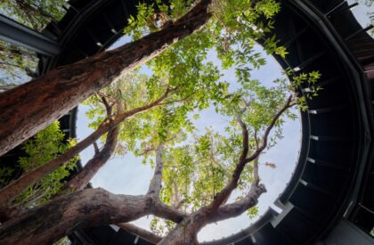 Akamori Restaurant | Touch Architect