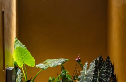 Earth’s Embrace | Raving Dots Studio