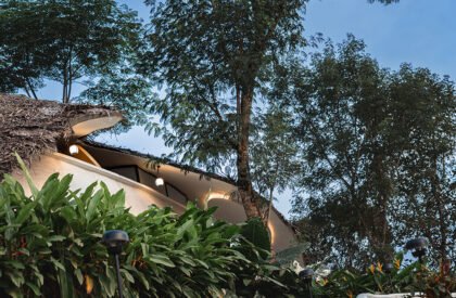 Earth’s Embrace | Raving Dots Studio