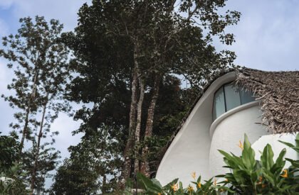 Earth’s Embrace | Raving Dots Studio