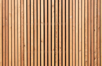 Hvězdička Kindergarten | ČTYŘSTĚN
