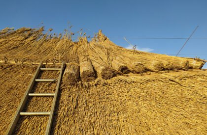 Den talamh | Fuinneamh Workshop Architects