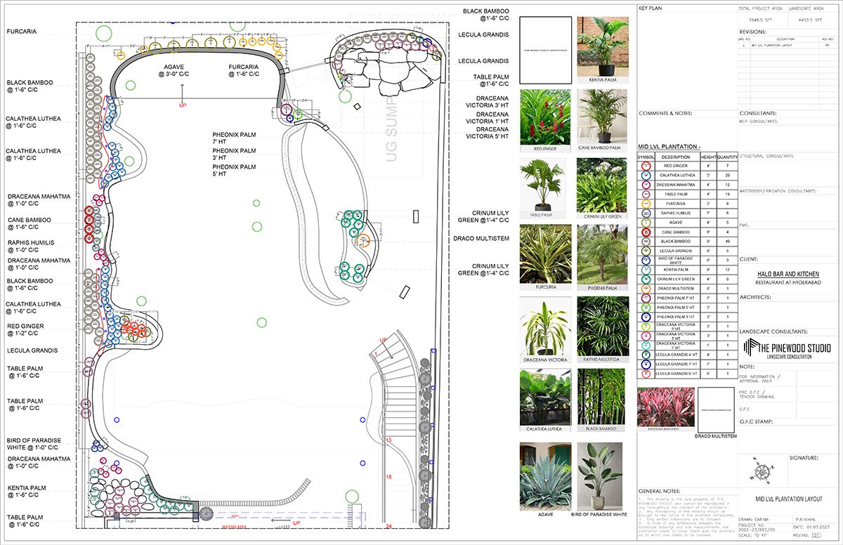 Halo | The Pinewood Studio
