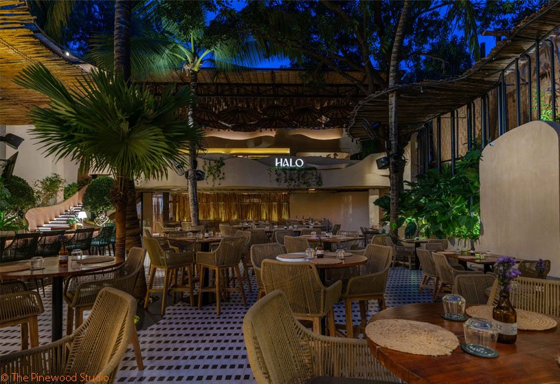 Halo | The Pinewood Studio