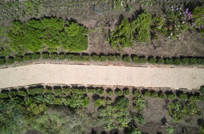 Kraffer Garden | matěj šebek architekti + Ateliér Za Mák