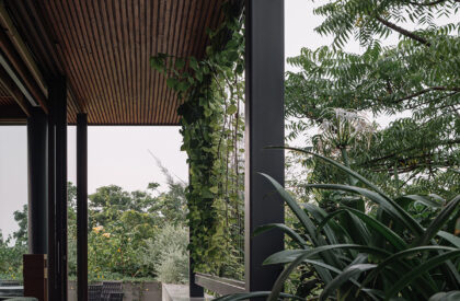 MS House | Studio Saransh