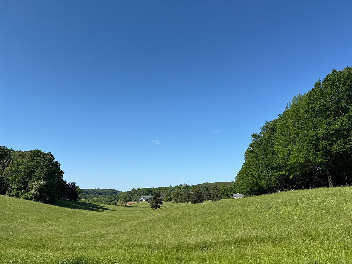 The Morven Outpost: Adaptive Reuse as Cultural Architecture within a Living Landscape | Bachelors Design Project