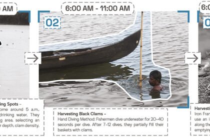 Amphibious Housing For Flood Affected Communities | Architecture Thesis On Floating Architecture