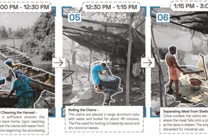 Amphibious Housing For Flood Affected Communities | Architecture Thesis On Floating Architecture