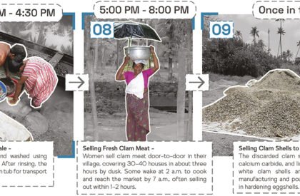 Amphibious Housing For Flood Affected Communities | Architecture Thesis On Floating Architecture