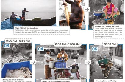 Amphibious Housing For Flood Affected Communities | Architecture Thesis On Floating Architecture