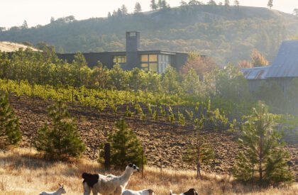 COR Cellars | GO’C