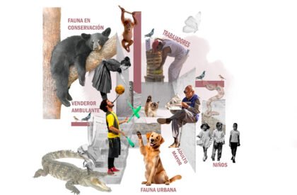 Habitats Culturales En Altura: Modular Cultural Architecture for Ecological and Social Regeneration | Bachelor’s Design Project