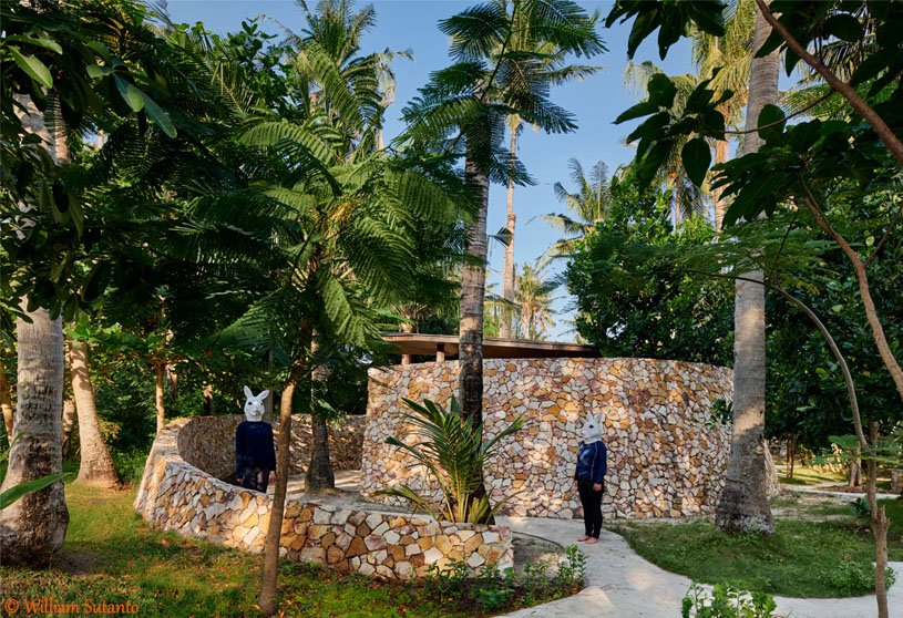 Coconut Yoga Garden | RAD+ar