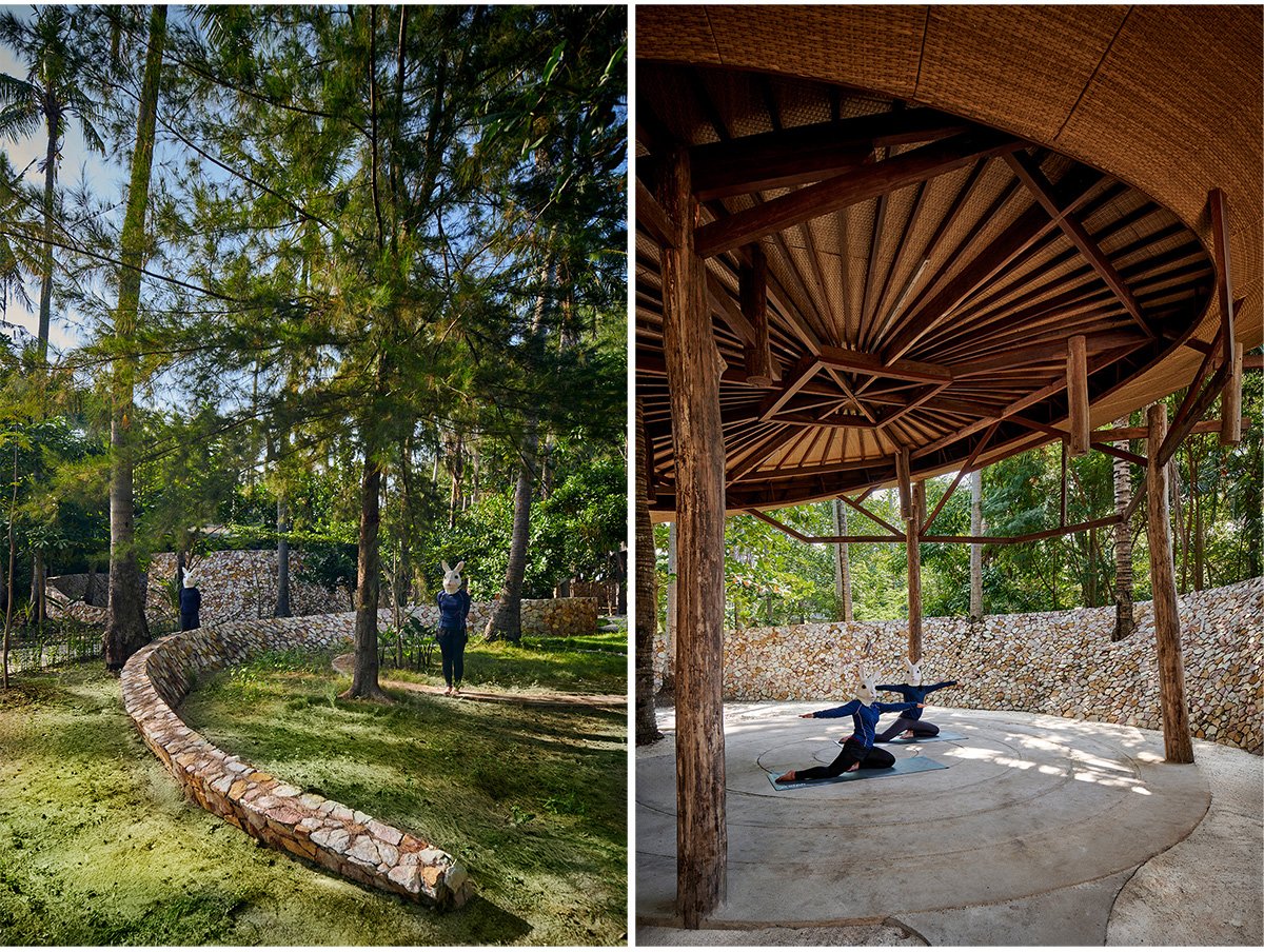 Coconut Yoga Garden | RAD+ar