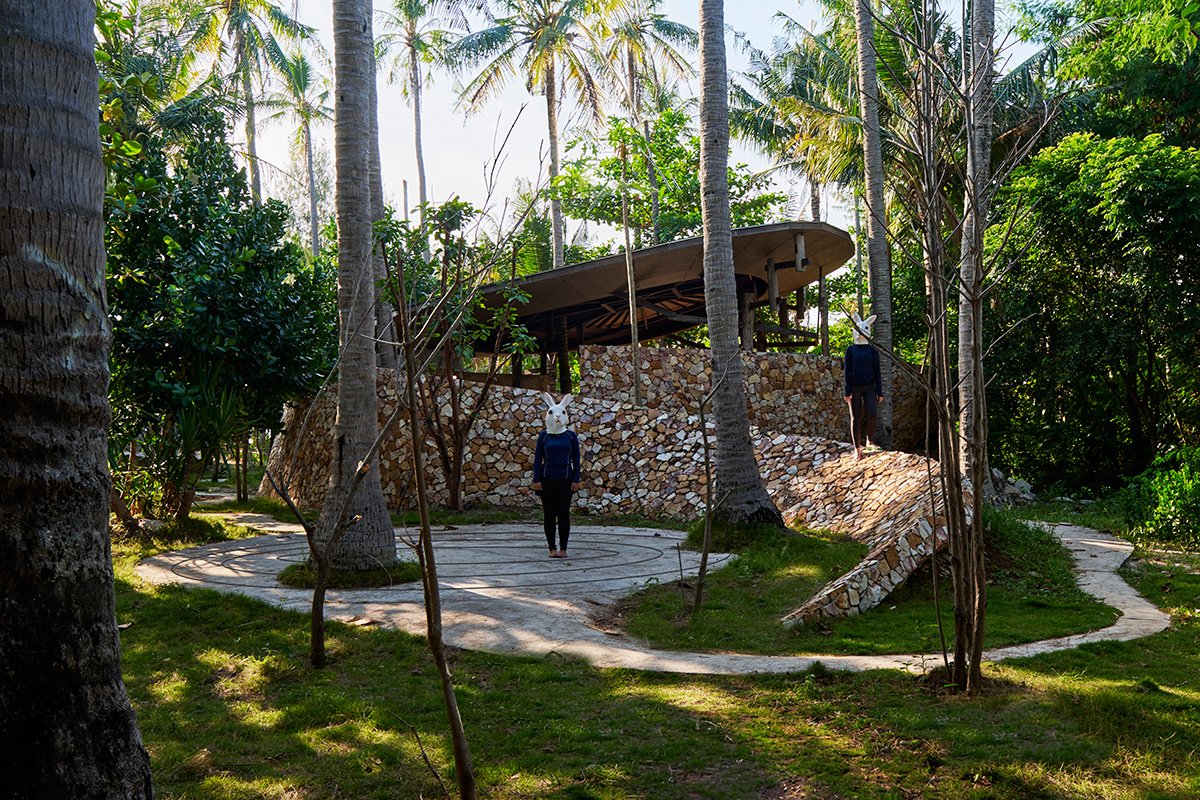 Coconut Yoga Garden | RAD+ar